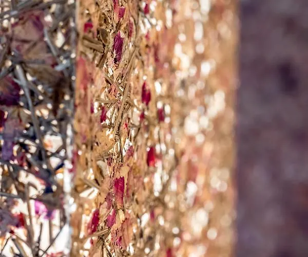 Hotel Berge Lifestyle-hotel Sölden