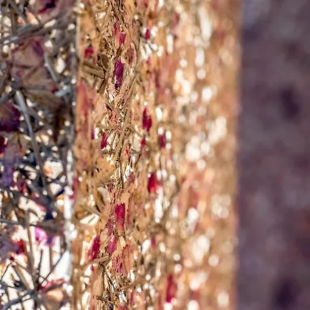 Otel Berge Lifestyle-hotel Sölden